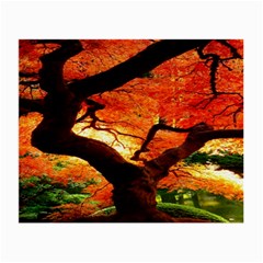 Maple Tree Nice Small Glasses Cloth by BangZart