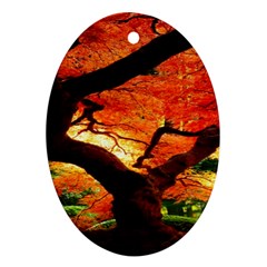Maple Tree Nice Oval Ornament (two Sides) by BangZart