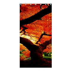 Maple Tree Nice Shower Curtain 36  X 72  (stall)  by BangZart