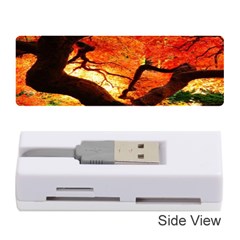 Maple Tree Nice Memory Card Reader (stick)  by BangZart