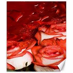Nice Rose With Water Canvas 20  X 24  