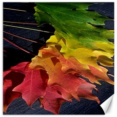 Green Yellow Red Maple Leaf Canvas 12  X 12   by BangZart