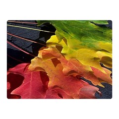 Green Yellow Red Maple Leaf Double Sided Flano Blanket (mini) 