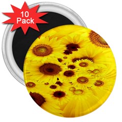 Beautiful Sunflowers 3  Magnets (10 Pack) 