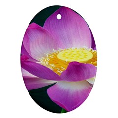 Pink Lotus Flower Oval Ornament (two Sides) by BangZart