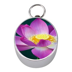Pink Lotus Flower Mini Silver Compasses