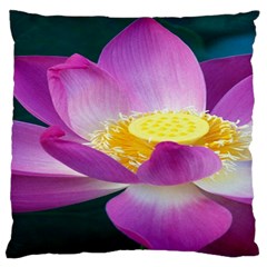 Pink Lotus Flower Large Flano Cushion Case (one Side)