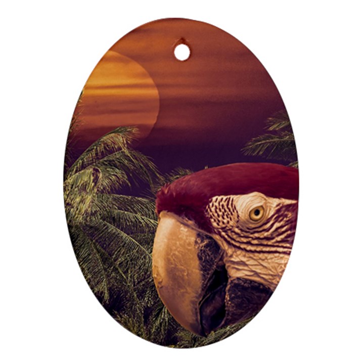 Tropical Style Collage Design Poster Oval Ornament (Two Sides)