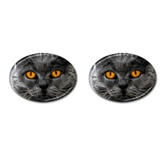 Cat Eyes Background Image Hypnosis Cufflinks (oval) by BangZart