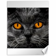 Cat Eyes Background Image Hypnosis Canvas 18  X 24   by BangZart