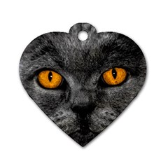 Cat Eyes Background Image Hypnosis Dog Tag Heart (one Side) by BangZart