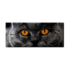 Cat Eyes Background Image Hypnosis Cosmetic Storage Cases by BangZart