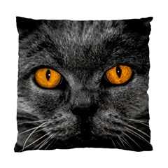 Cat Eyes Background Image Hypnosis Standard Cushion Case (one Side) by BangZart