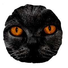 Cat Eyes Background Image Hypnosis Large 18  Premium Round Cushions