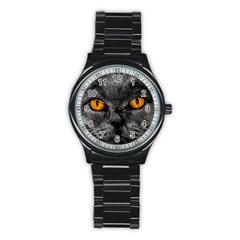 Cat Eyes Background Image Hypnosis Stainless Steel Round Watch