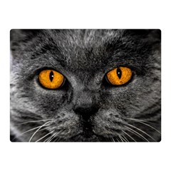 Cat Eyes Background Image Hypnosis Double Sided Flano Blanket (mini) 