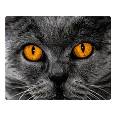 Cat Eyes Background Image Hypnosis Double Sided Flano Blanket (large) 