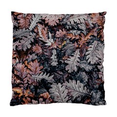 Leaf Leaves Autumn Fall Brown Standard Cushion Case (two Sides) by BangZart