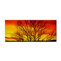 Sunset Abendstimmung Cosmetic Storage Cases by BangZart