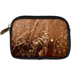 Ice Iced Structure Frozen Frost Digital Camera Cases by BangZart