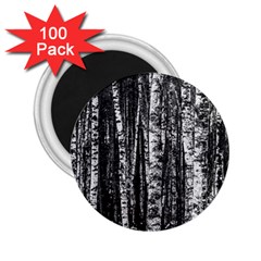 Birch Forest Trees Wood Natural 2 25  Magnets (100 Pack)  by BangZart