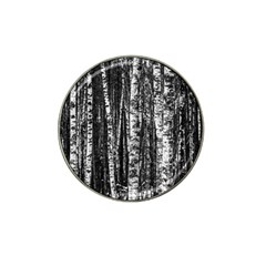 Birch Forest Trees Wood Natural Hat Clip Ball Marker (4 Pack) by BangZart