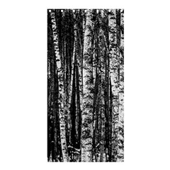 Birch Forest Trees Wood Natural Shower Curtain 36  X 72  (stall) 