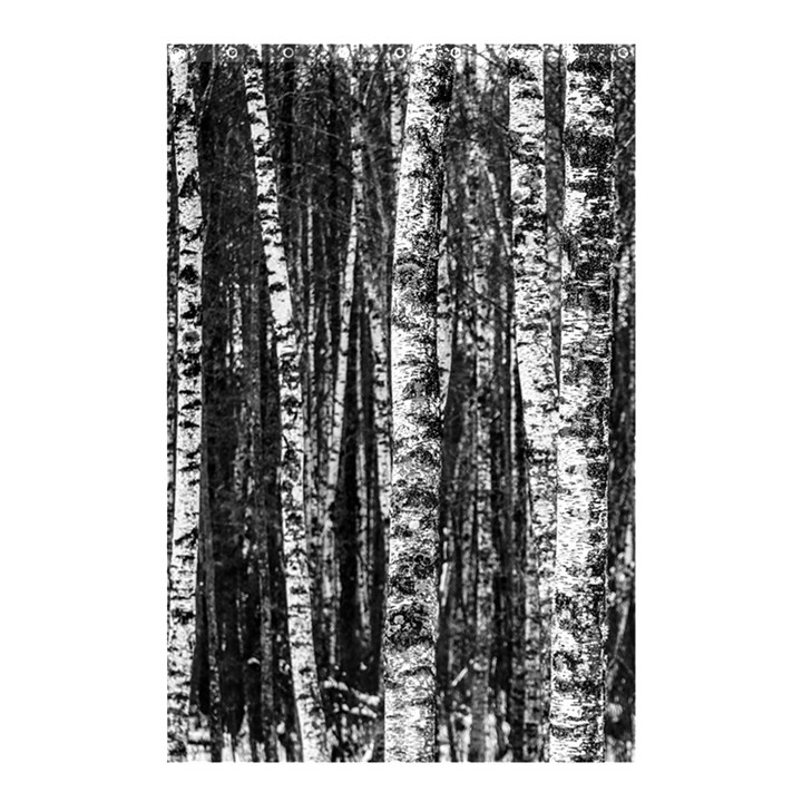 Birch Forest Trees Wood Natural Shower Curtain 48  x 72  (Small) 