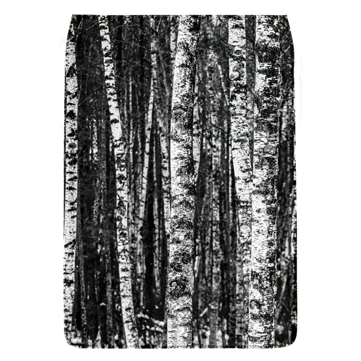 Birch Forest Trees Wood Natural Flap Covers (S) 