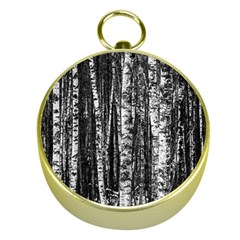 Birch Forest Trees Wood Natural Gold Compasses