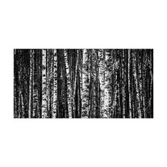 Birch Forest Trees Wood Natural Yoga Headband by BangZart