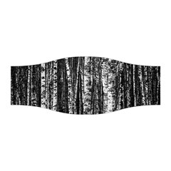 Birch Forest Trees Wood Natural Stretchable Headband by BangZart
