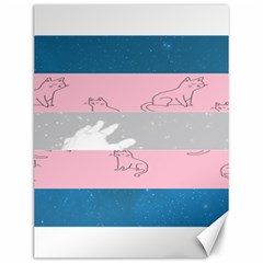 Pride Flag Canvas 12  X 16   by TransPrints