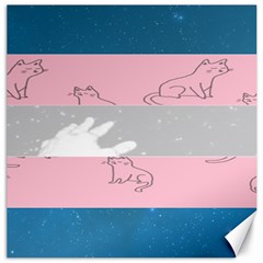 Pride Flag Canvas 20  X 20   by TransPrints