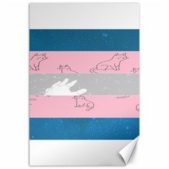 Pride Flag Canvas 20  X 30   by TransPrints