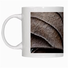 Leaf Veins Nerves Macro Closeup White Mugs by BangZart