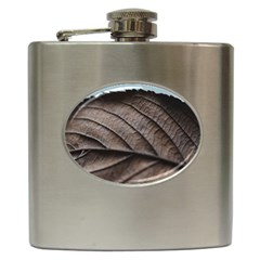 Leaf Veins Nerves Macro Closeup Hip Flask (6 Oz) by BangZart