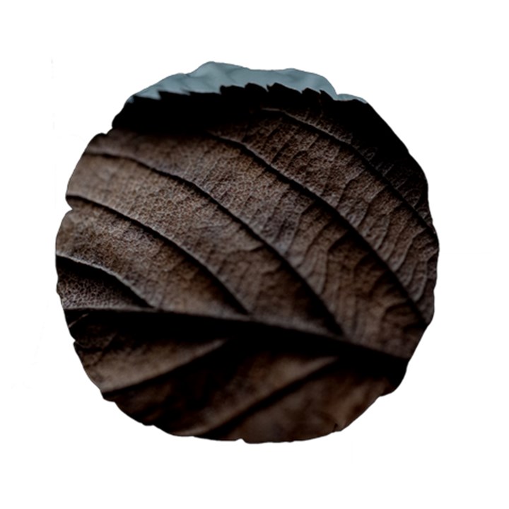 Leaf Veins Nerves Macro Closeup Standard 15  Premium Flano Round Cushions