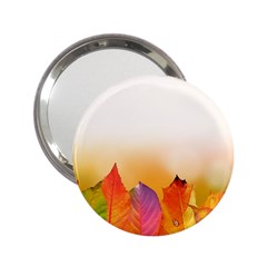 Autumn Leaves Colorful Fall Foliage 2 25  Handbag Mirrors by BangZart