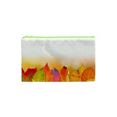 Autumn Leaves Colorful Fall Foliage Cosmetic Bag (xs)