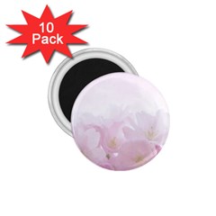 Pink Blossom Bloom Spring Romantic 1 75  Magnets (10 Pack)  by BangZart