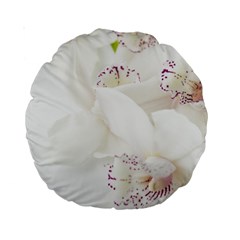 Orchids Flowers White Background Standard 15  Premium Round Cushions