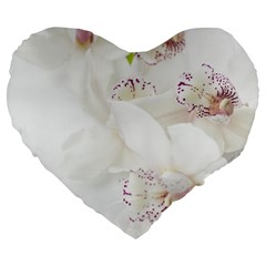 Orchids Flowers White Background Large 19  Premium Flano Heart Shape Cushions