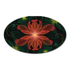 Beautiful Red Passion Flower In A Fractal Jungle Oval Magnet by jayaprime