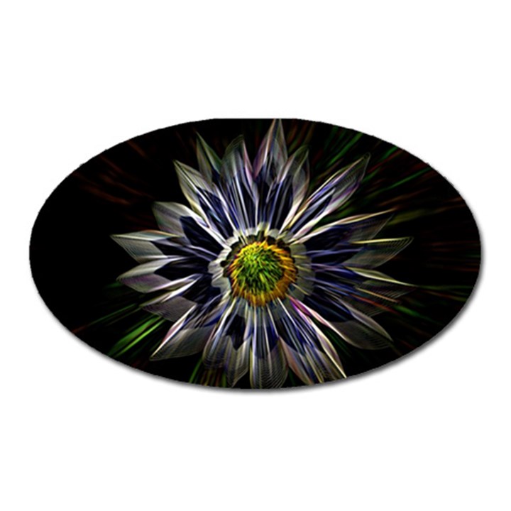 Flower Structure Photo Montage Oval Magnet