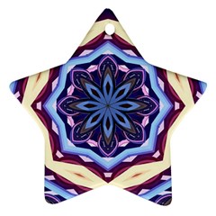 Mandala Art Design Pattern Ornament (star) by BangZart