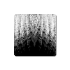 Feather Graphic Design Background Square Magnet