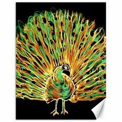 Unusual Peacock Drawn With Flame Lines Canvas 18  X 24   by BangZart