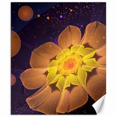 Beautiful Violet & Peach Primrose Fractal Flowers Canvas 20  X 24   by jayaprime