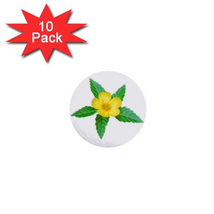 Yellow Flower With Leaves Photo 1  Mini Buttons (10 pack) 